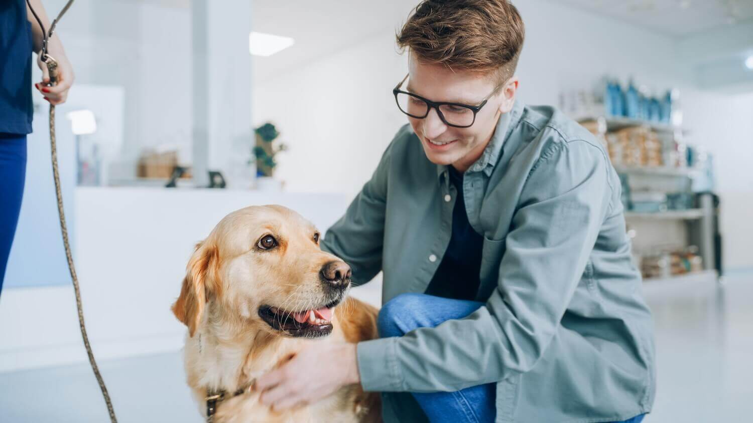 Veterinarian in Bradenton, FL